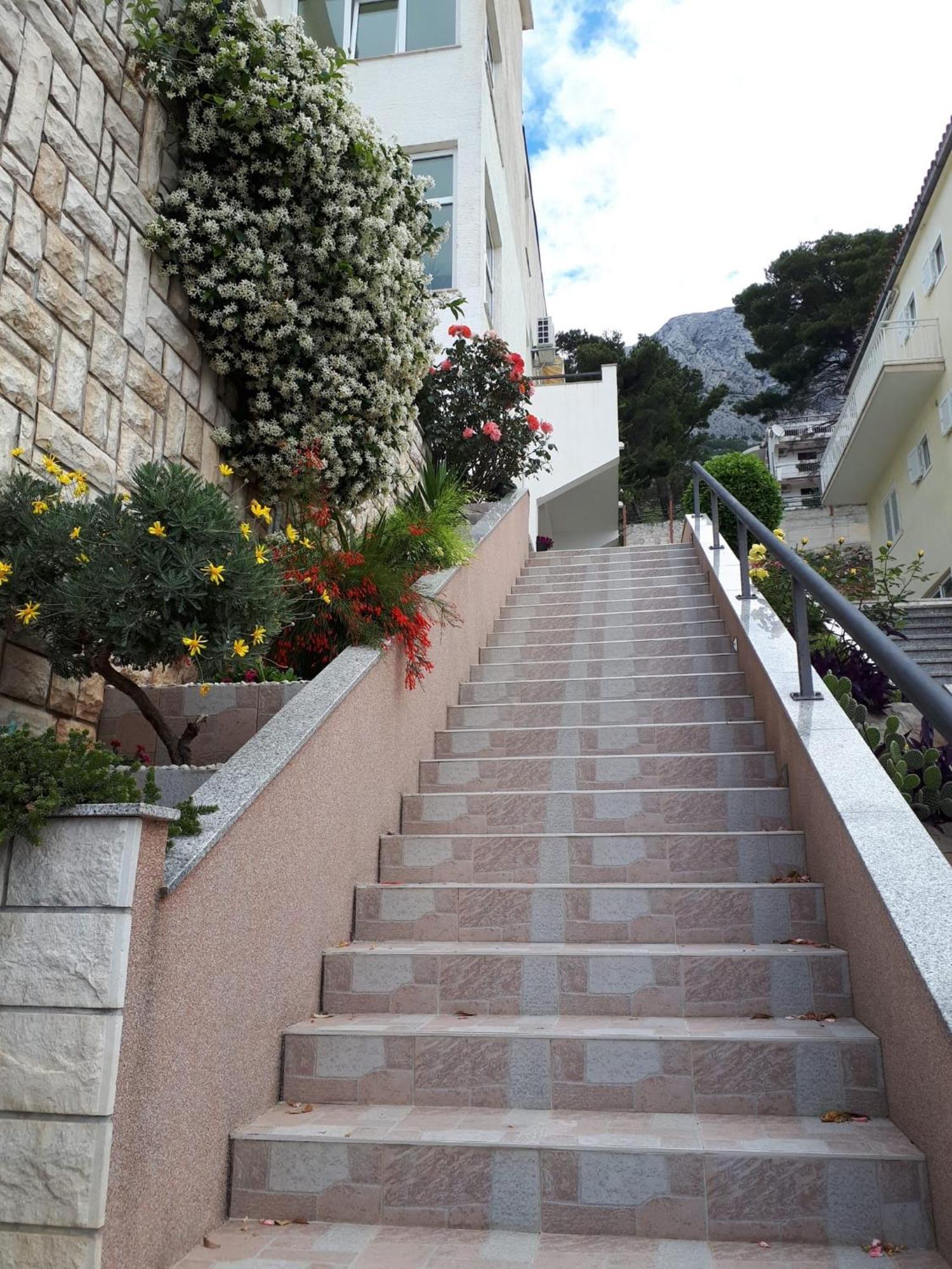 Apartments Matic Baška Voda Εξωτερικό φωτογραφία